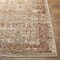 Livabliss Aspendos APS-2311 Machine Crafted Area Rug APS2311-274 - alternate 2